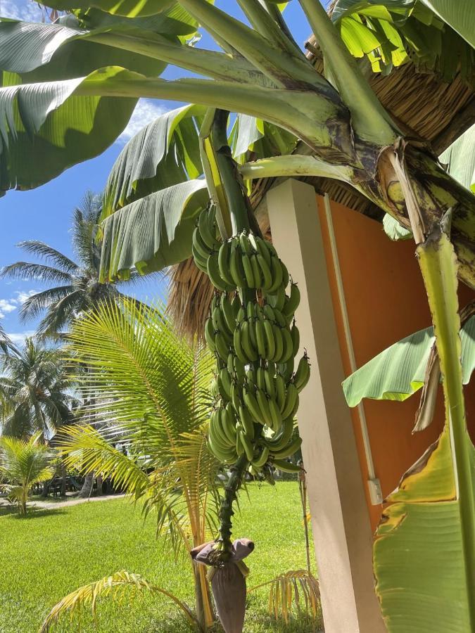 Sambo Mambo Beach Hotel Эль-Куко Экстерьер фото